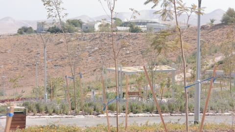 OMRI9884.JPG