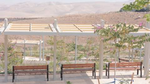 OMRI9886.JPG